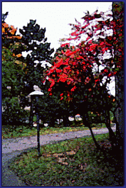 automneunivmtl248x368.gif